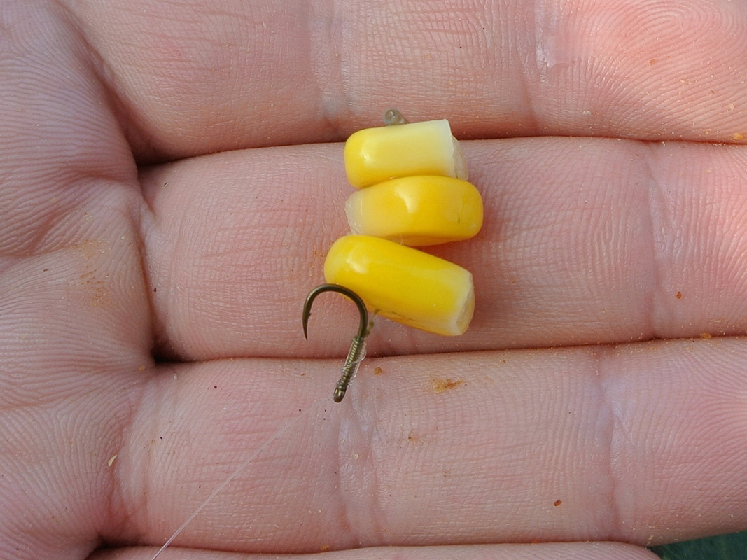 Добрянка 21.09.14 04