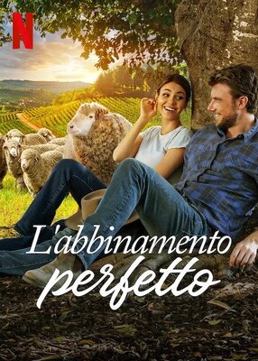 L'abbinamento perfetto (2022) WebDL 1080p ITA ENG E-AC3 AC3 Subs