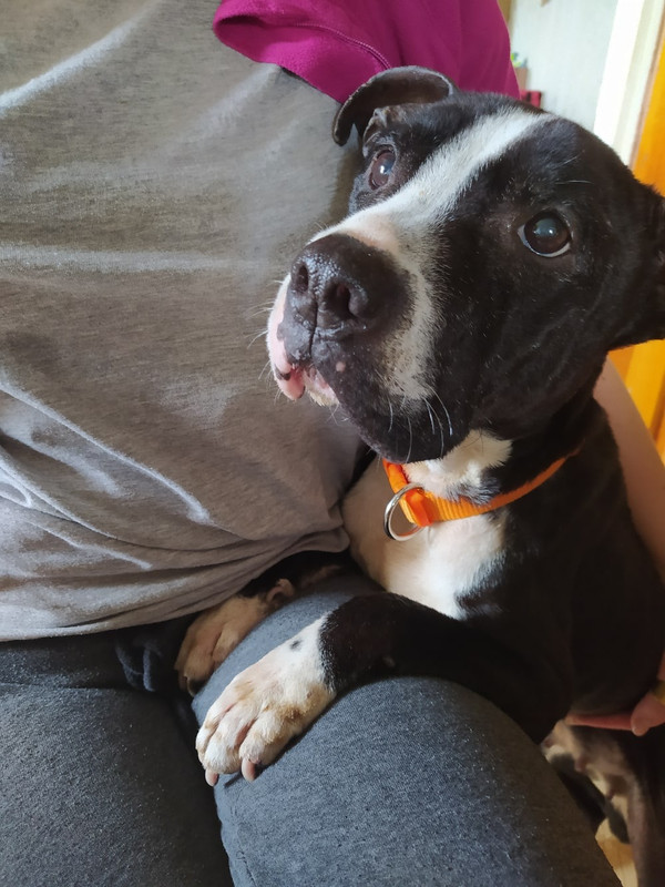 CA54CBAF-678A-494A-8A11-BA881064F131