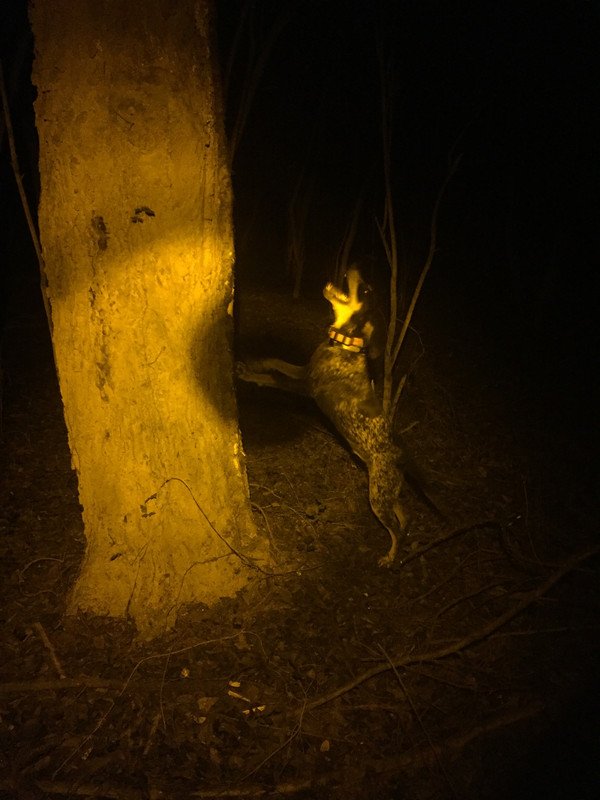 107C23A3-94A5-4BB2-8E46-8E14911B6905