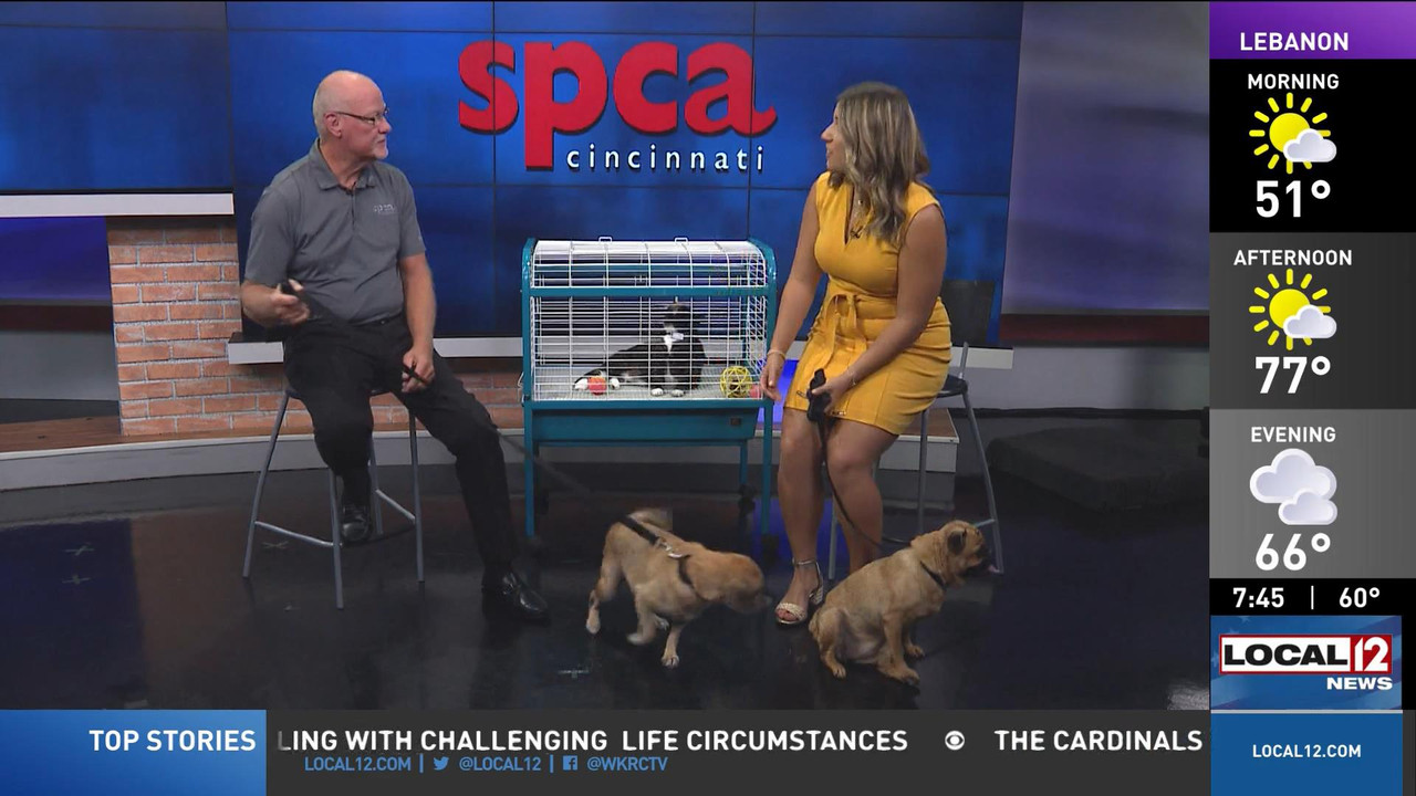 08.13 - 11.00.00 - Good Morning Cincinnati Saturday  ᴺᵉʷ. News covera....ts_snapshot_01.51.54_[2022.