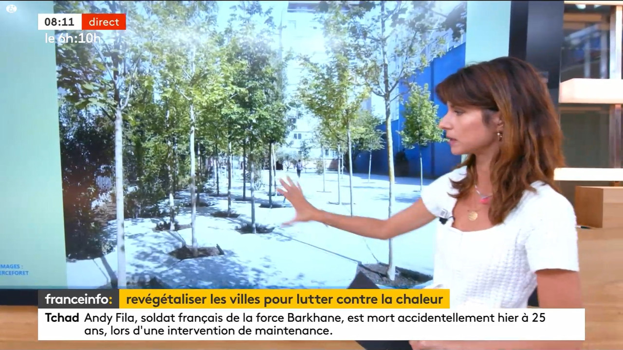 08.01 - 10.27.00 - Franceinfo  et tout est plus clair. Pas de descrip....ts_snapshot_12.01.399