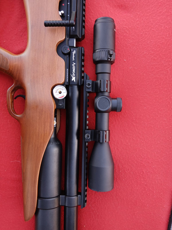 87e2651e-c7ef-4ae5-a792-466215ae4495