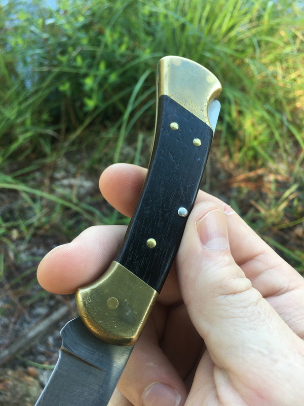 EBCF538C-1F50-44C0-80A9-CCFA75BD71E2