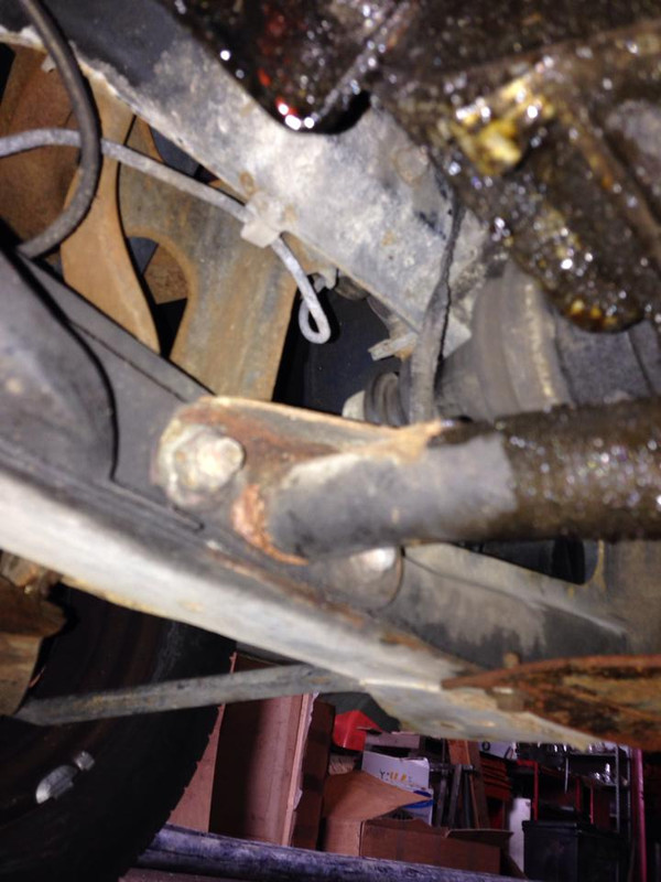 1420032_244751082341240_47983410_n