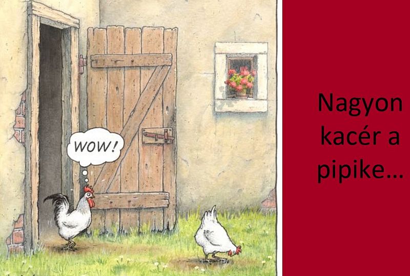 https://i.postimg.cc/VkzNjNsg/wow-nagyonkacer.jpg