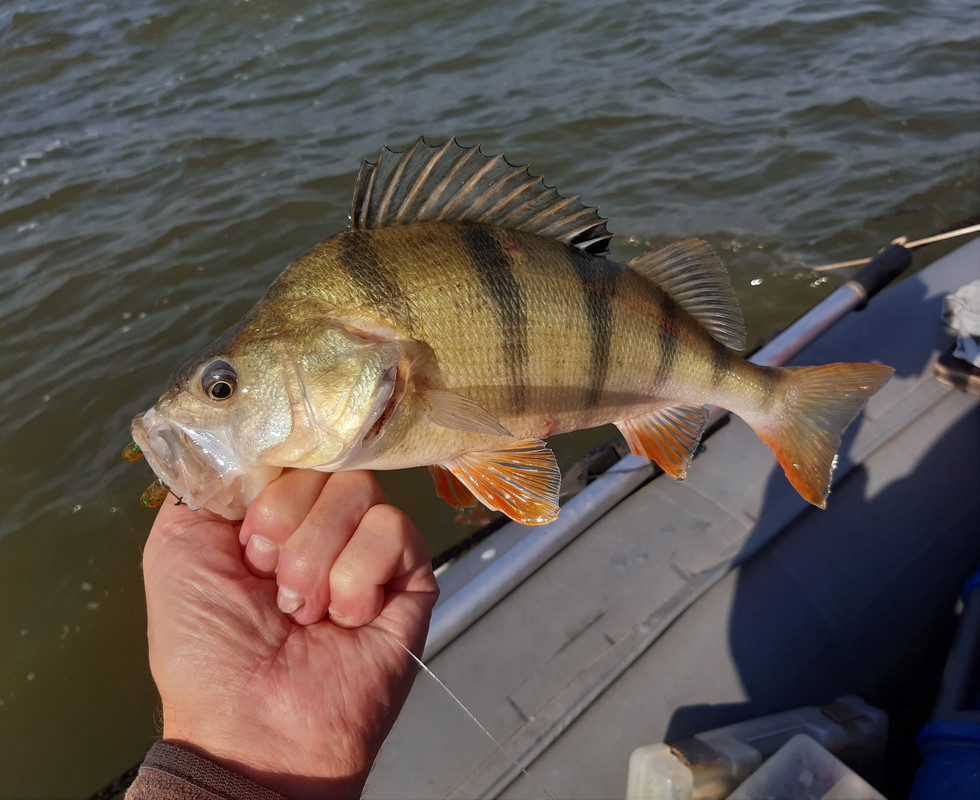 20210901_083755 — копия