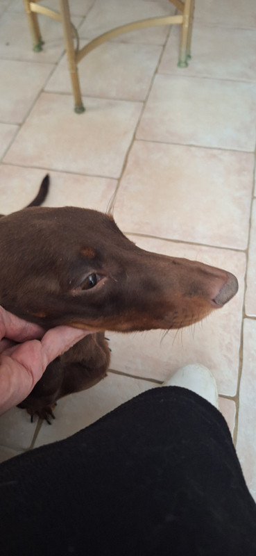 [Image: 20251002-164840.jpg]