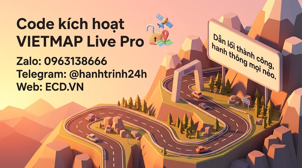vietmap pro senior driver