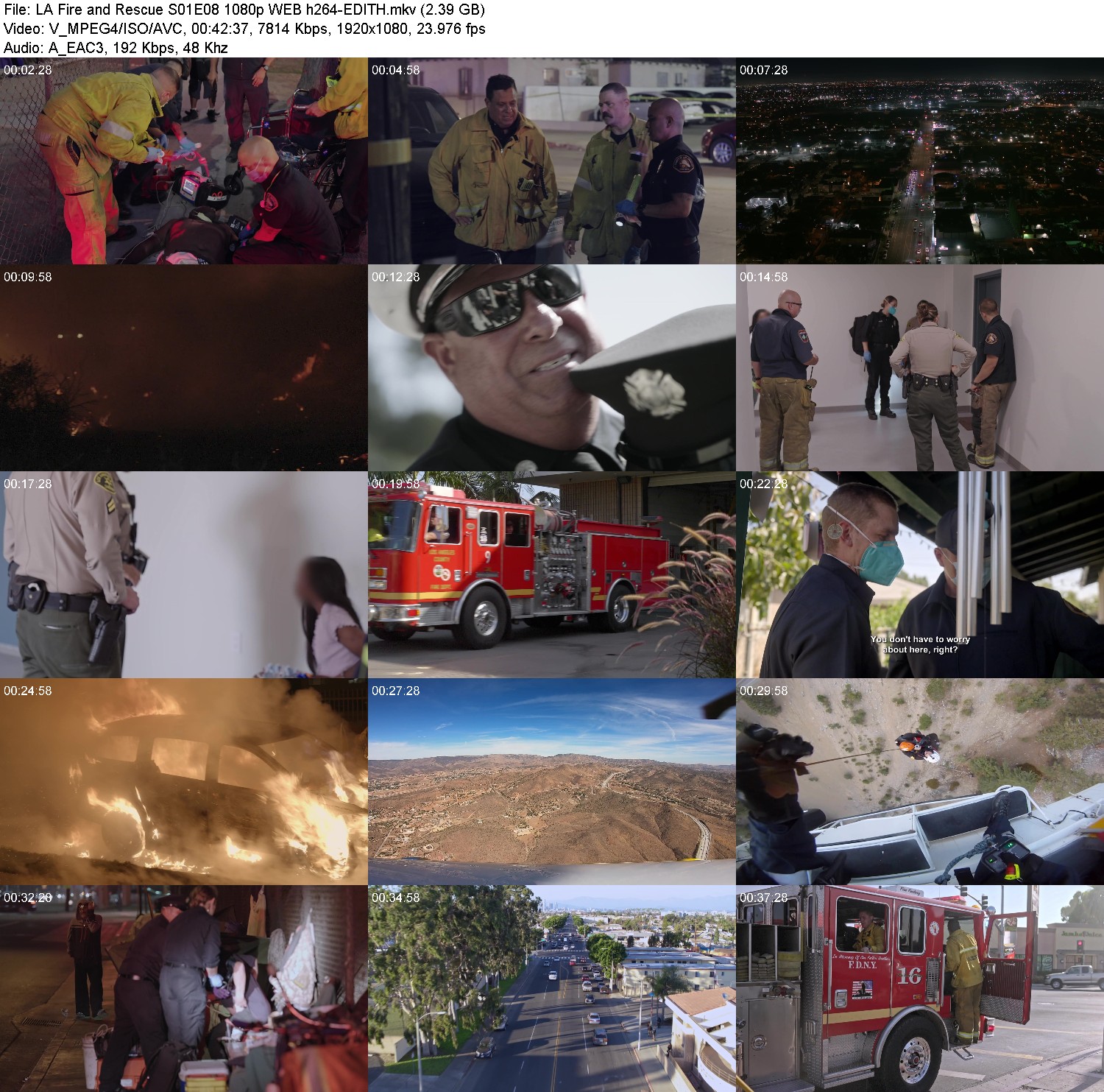 [Image: u9j50m9cbgdu.jpg]