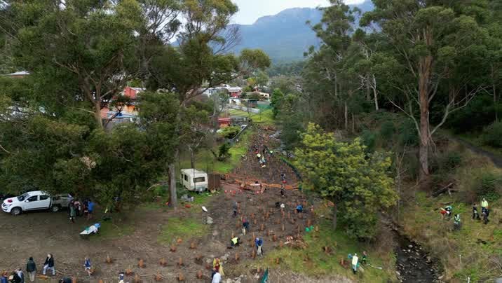 [Image: l74r4lad7xqr.jpg]