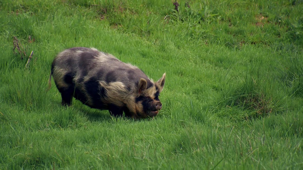 [Image: zfmv2vz03dq9.png]