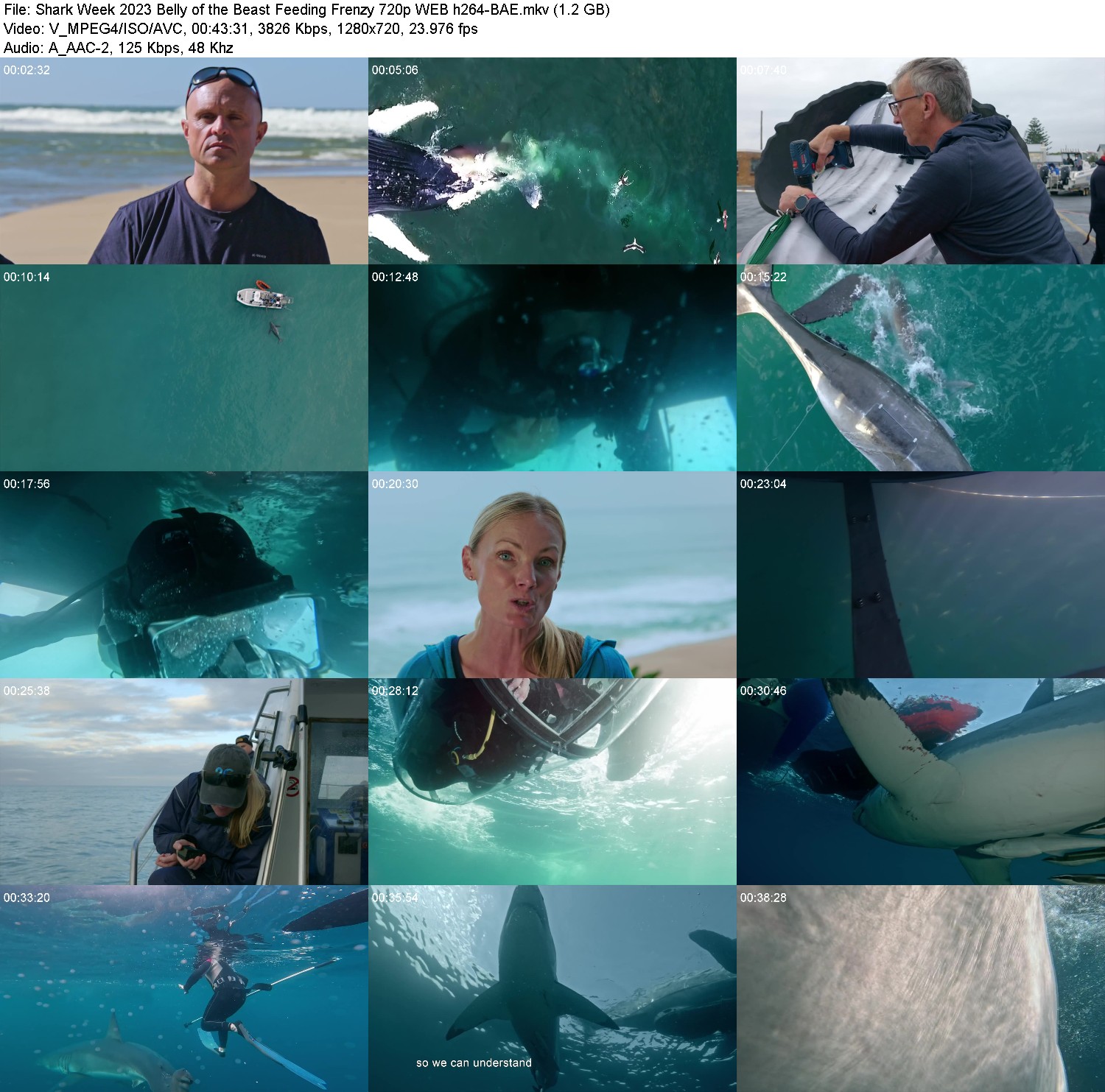 [Image: al0snhn14jw8.jpg]