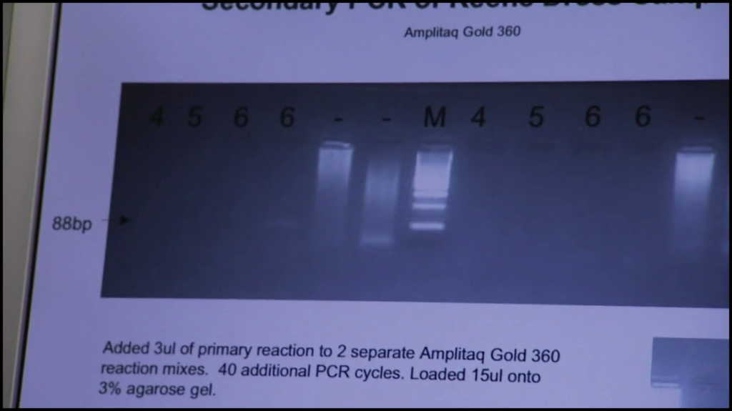 [Image: s7bqlx3h7jz6.png]