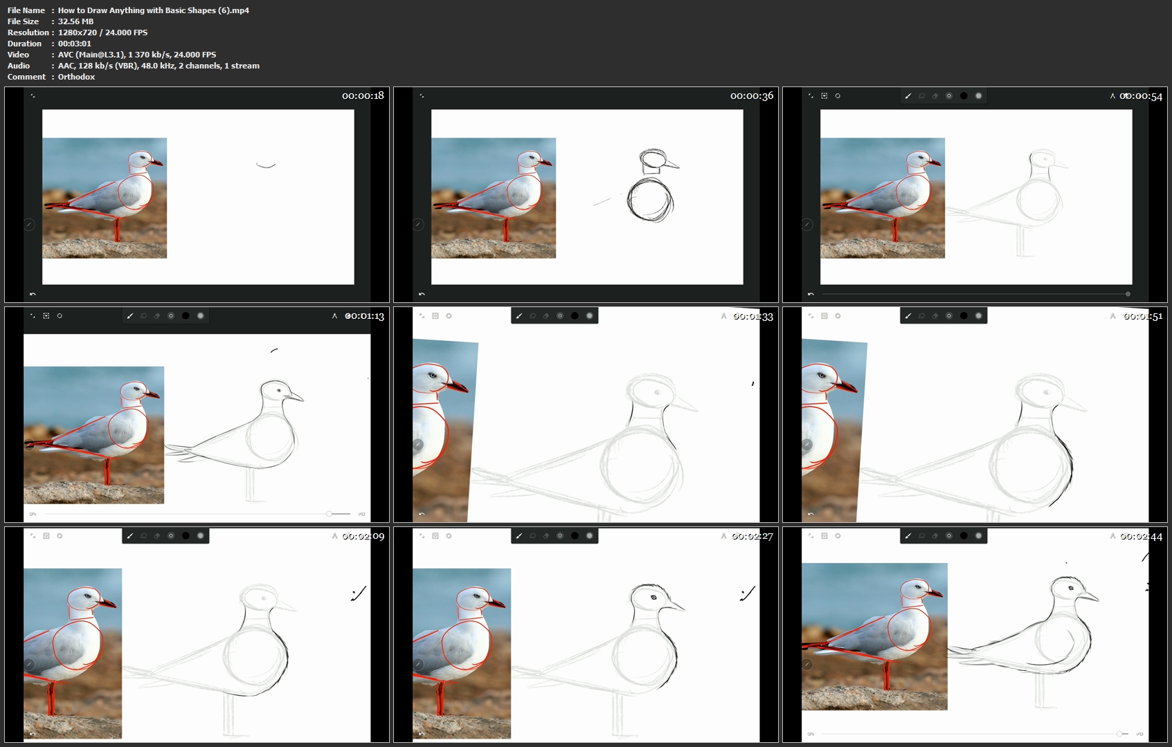 How-to-Draw-Anything-with-Basic-Shapes-6