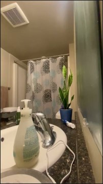 [Image: Voyeur40375132022.jpg]