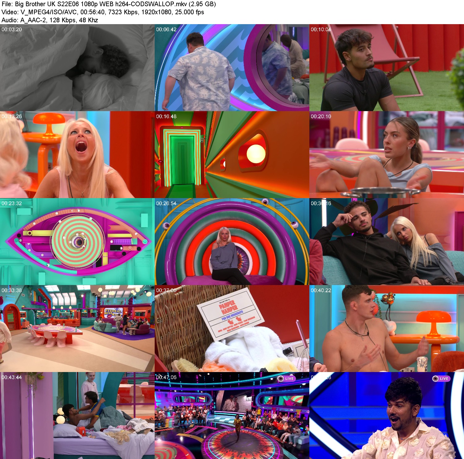 [Image: gxgwr87p49pn.jpg]