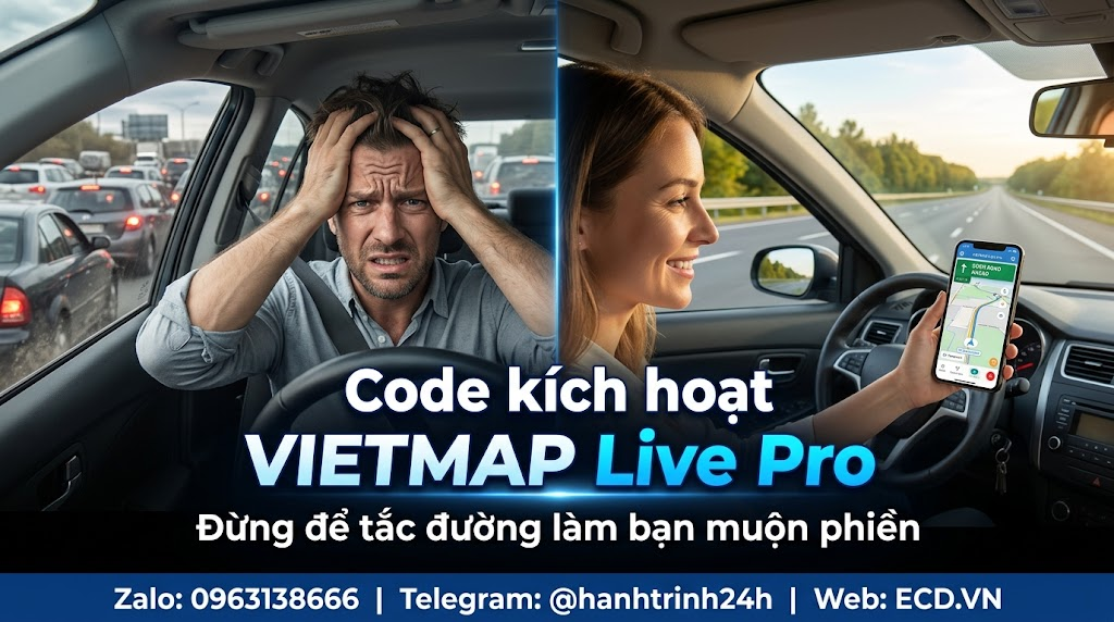 vietmap pro abe delivery