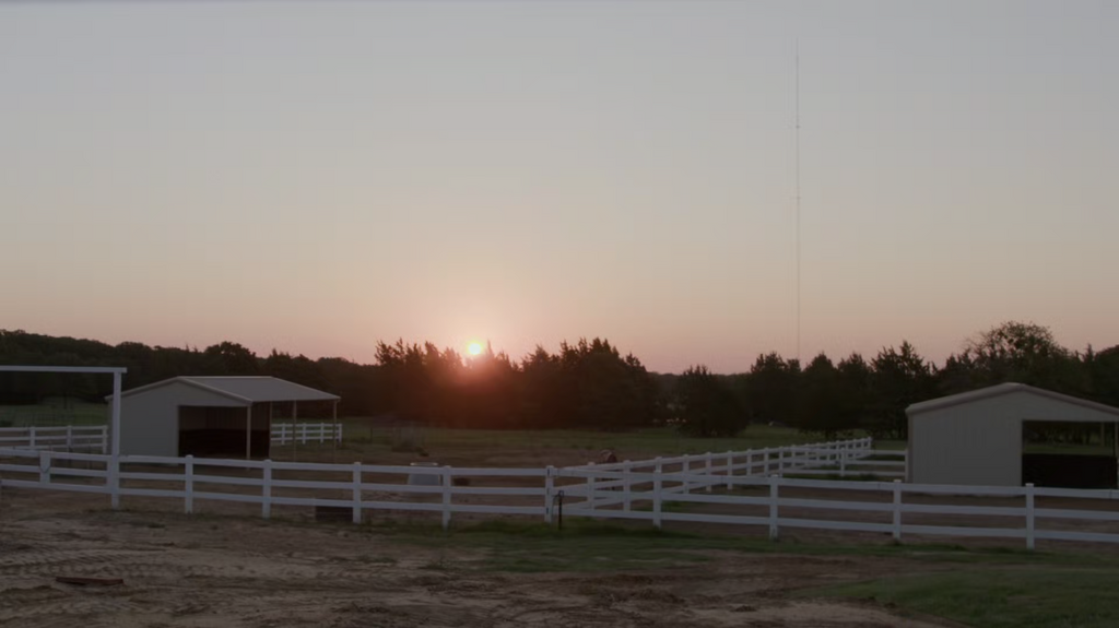 [Image: tgcgem85wi24.png]