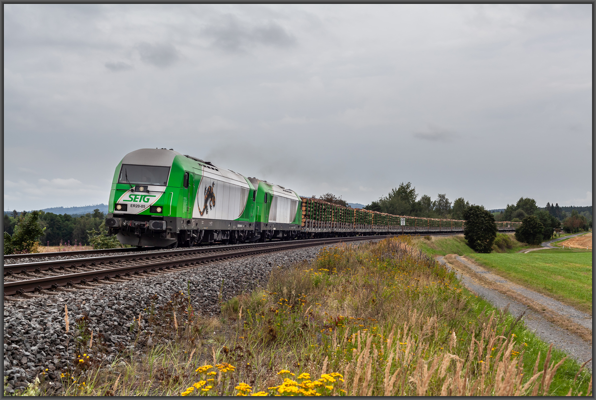 20240818 MG 2487 — Postimages