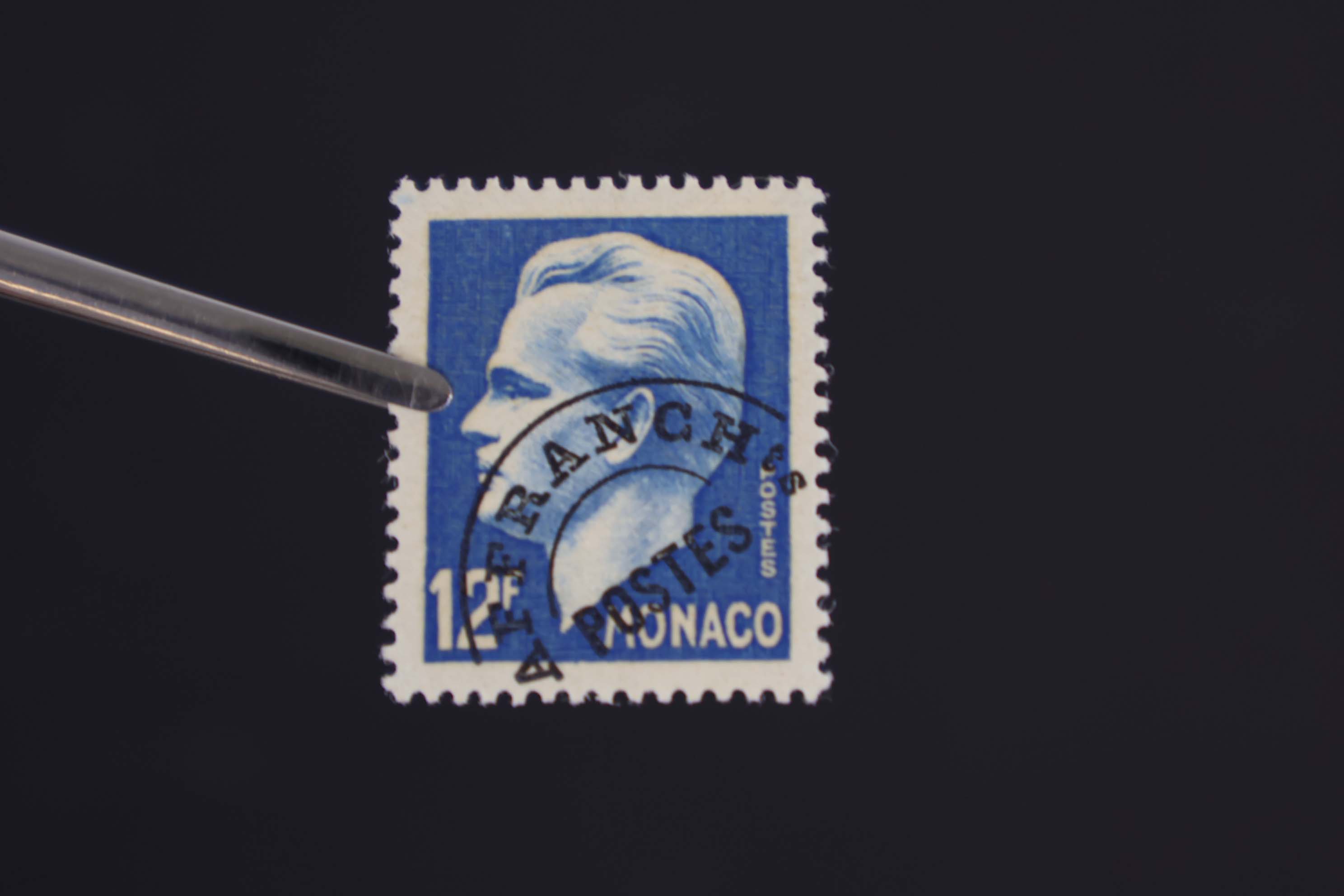 IMG-2664