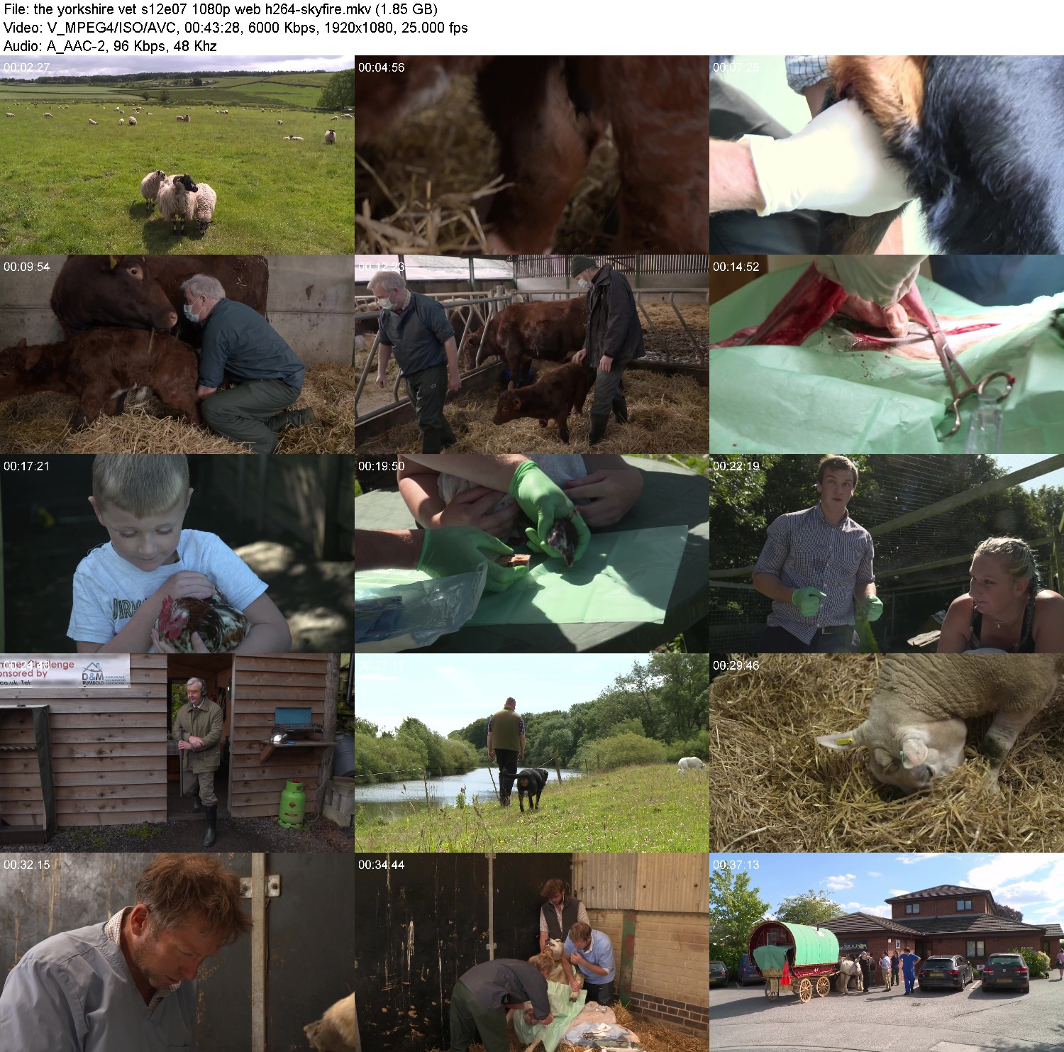 [Image: x4c83n7ssyod.jpg]