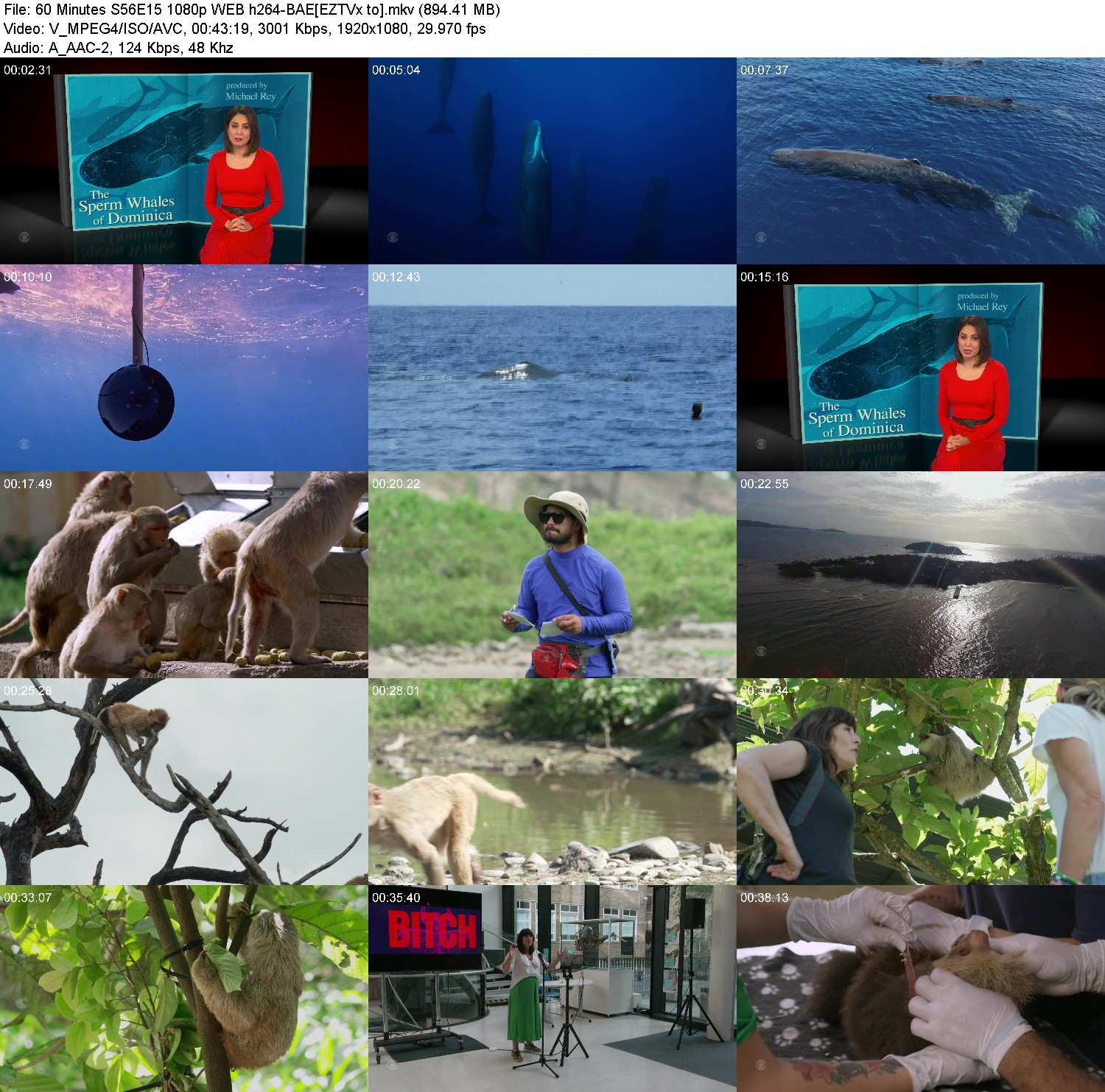 [Image: 72sk8kkqpki8.jpg]