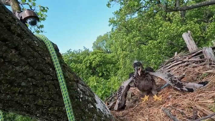 [Image: mz645hl5zxuq.png]