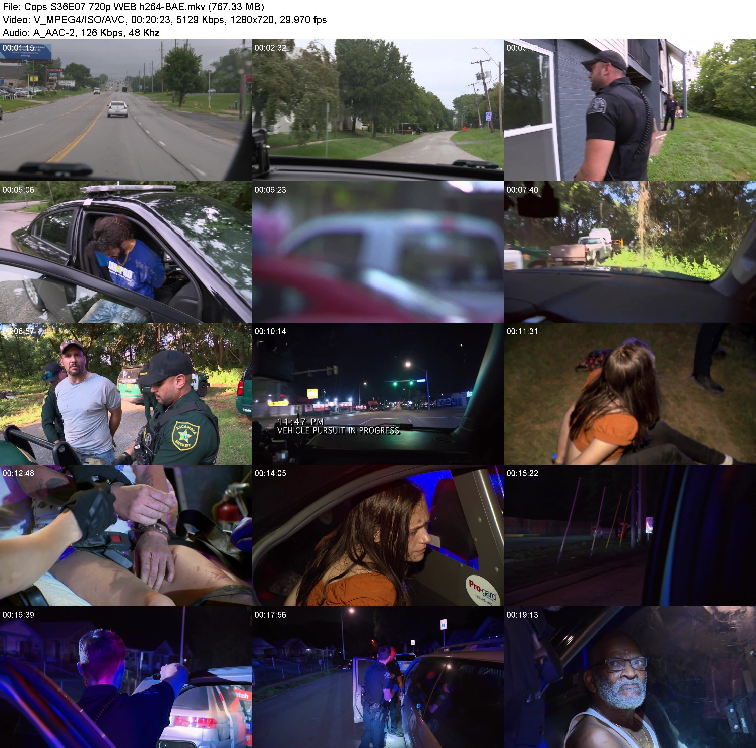 [Image: plx040ndfq8z.jpg]