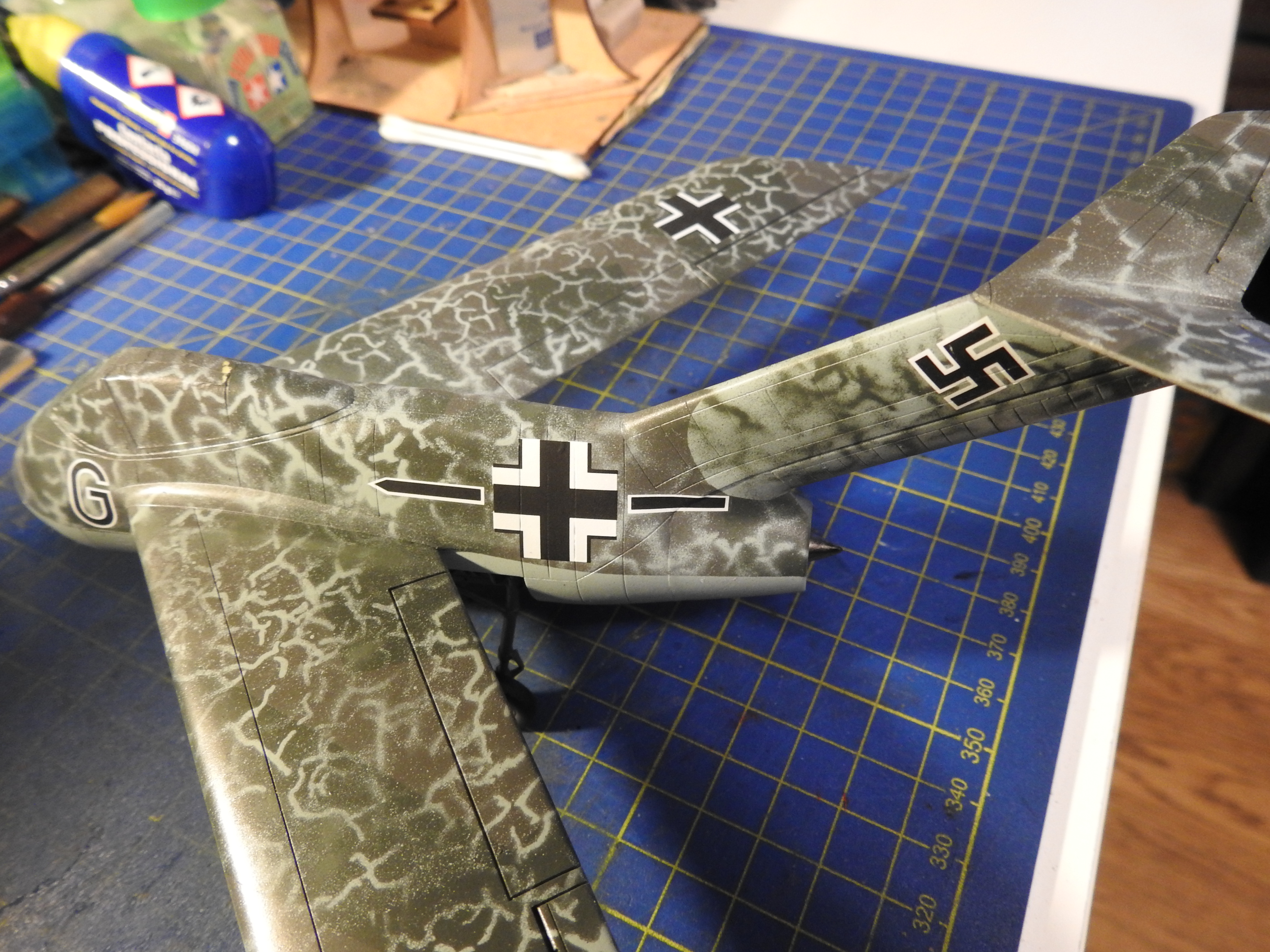Focke Wulf Ta183A Huckebein Tamiya/AM, 1:48 DSCN9250