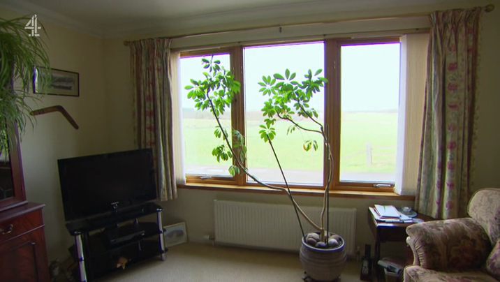 [Image: lt9y0ggaq4w9.png]