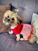 Daisy-Groenewald