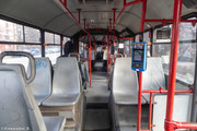IMG-5033