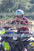 IMG-2524