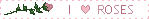 roses2