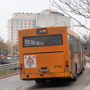 IMG-2133