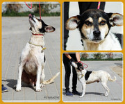 Be-Funky-collage-30.jpg&key=abe9fd5255e2