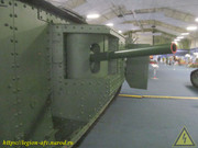 IMG-6831