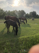 C20D6C3A-DC70-4DAC-A34A-88357F0D4D28