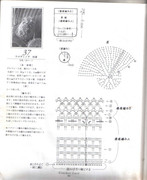 081