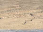 Padstow Estuary.