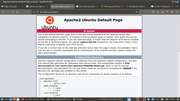 wordpress.png