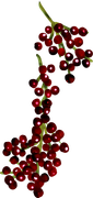 Christmas-Dreams-111