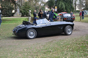 DSC-0062.jpg