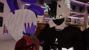 Imagen-29