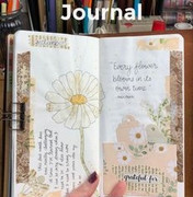 journal