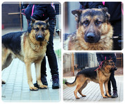 Be-Funky-collage-27.jpg&key=6b7a9330c0ec