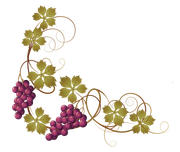 TADD_elements_Shimmer_Fall_105