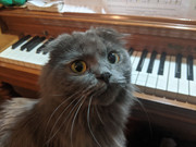 MVIMG_20191227_140627