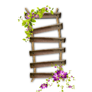 ISmell-Autumn-LL-Element15